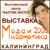 ���� � ��������� - 2008, 11 - 13 ��������, �. �����������